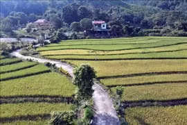 Route en béton desservant les zones de production agricole dans la commune de Thái Bình, province de Tuyen Quang. Photo: VNA