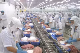 Transformation des produits aquatiques destinés à l'exportation. Photo : VietnamPlus