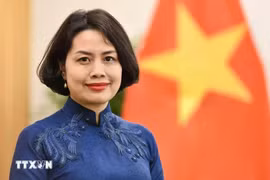L’ambassadrice du Vietnam en Finlande et en Estonie, Pham Thi Thanh Binh. Photo : VNA