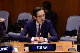 L’ambassadeur Do Hung Viet lors du symposium. Photo : VNA