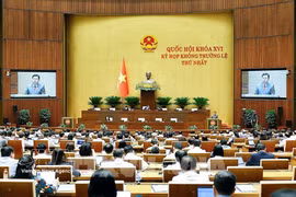 Poursuivant les travaux de sa première session extraordinaire, l'Assemblée nationale (AN) de la 16e législature entendront dans la matinée du 7 août, la présentation de propositions et de rapports d'examen concernant trois projets de loi, avant de procéder à des discussions en groupes. Photo : VNA
