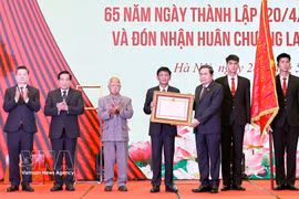 Le président de l’AN, Tran Thanh Man, a remis cette distinction au Conseil des affaires ethniques de l'AN. Photo: VNA