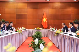 Panorama de la rencontre. Photo : Le ministère des Affaires étrangères du Vietnam. 