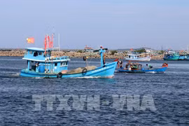 Photo : VNA