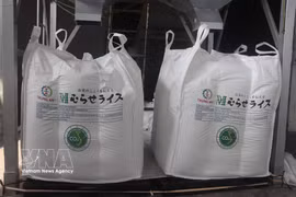 Un lot de riz Japonica, certifié "riz vert vietnamien à faibles émissions", est exporté vers le marché japonais. Photo : VNA