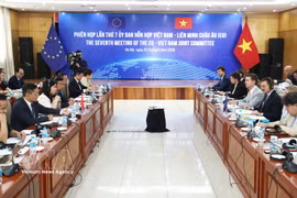 Panorama de la 7e session du Comité mixte Vietnam - UE. Photo : VNA
