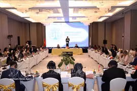 Panorama de la éunion plénière de 2026 du Réseau de justice d’Asie du Sud-Est (SEAJust). Photo : VNA