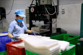 Production de galettes de riz, spécialité de Tây Ninh, à la société à responsabilité limitée Tân Nhiên (hameau de Truong Phu, commune de Truong Dông, ancien chef-lieu de la ville de Hoa Thành). Photo d’illustration : VNA