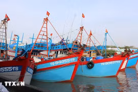 La flotte de navires de grande capacité aptes à pêcher dans des zones de pêche éloignées telles que Côn Dao, Truong Sa et DK1 représente 60 % du total. Photo : VNA