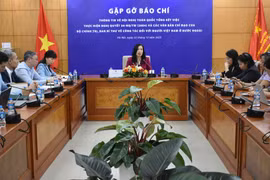 La vice-ministre des Affaires étrangères, Le Thi Thu Hang. Photo : VNA