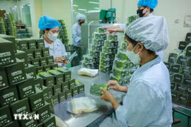 Production de produits à base de plantes chez Lam Dong Pharmaceutical Joint Stock Company. Photo . VNA