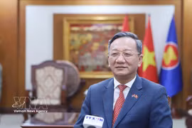 L’ambassadeur du Vietnam au Laos, Nguyen Minh Tâm. Photo : VNA