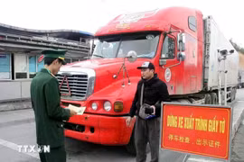 Les autorités inspectent les procédures des conducteurs de véhicules transportant des marchandises au poste-frontière international de Huu Nghi (province de Lang Son). (Photo : VNA)