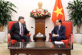 Le membre du Bureau politique et ministre vietnamien des Affaires étrangères, Lê Hoài Trung (droite) et le secrétaire d’État adjoint américain Christopher Landau. Photo : VNA