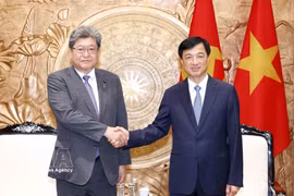 Nguyen Duy Ngoc, membre du Bureau politique, président de la Commission de l'organisation du Comité central du Parti communiste du Vietnam (PCV) et président du Groupe d'amitié parlementaire Vietnam-Japon (droite) et Hagiuda Koichi, secrétaire général exécutif par intérim du Parti libéral-démocrate (PLD) du Japon. Photo : VNA
