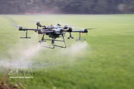 Agriculteurs d’An Giang utilisant des drones pour l’épandage de produits phytosanitaires, permettant de réduire les coûts, les efforts et le temps. Photo : VNA