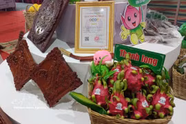 Produits à base de fruit du dragon à chair rouge et articles d’artisanat classés trois étoiles OCOP de la coopérative agricole propre Hung Thinh Phat, dans la commune de Tan Thuan Binh, province de Dong Thap. Photo : VNA