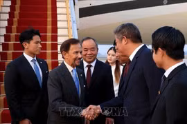 Le sultan de Brunei, Haji Hassanal Bolkiah, est arrivé à Hanoï le 30 novembre après-midi, entamant une visite d'État de trois jours au Vietnam. Photo : VNA