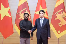 Le président vietnamien Luong Cuong (droite) et son homologue sri-lankais Anura Kumara Disanayaka. Photo : VNA