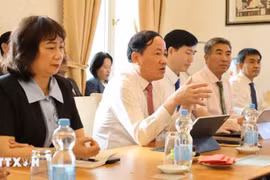 Pham Anh Tuan, secrétaire adjoint du Comité du Parti et président du Comité populaire de la province de Gia Lai, s'exprime lors d'une rencontre avec l'ambassade du Vietnam en Allemagne. Photo : VNA