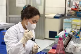 Nguyễn Nhật Ly, étudiant en master de biotechnologie à l'Université nationale du Viêt Nam (VNU) de Hanoï, mène une expérience dans le laboratoire de l'école. Photo : VNA/VNS