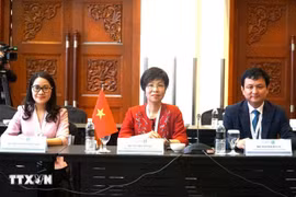 La directrice générale de la VNA, Vu Viet Trang (centre) lors de la réunion. Photo : VNA