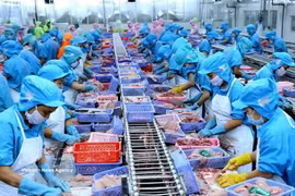 Entreprise vietnamienne spécialisée dans la transformation de produits aquatiques destinés à l’exportation vers la Nouvelle-Zélande. Photo d’illustration : VNA