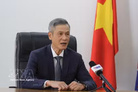 L'ambassadeur du Vietnam au Cambodge, Nguyên Minh Vu. Photo : VNA