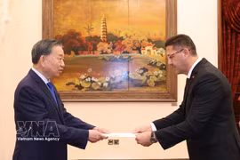 Le secrétaire général du Comité central du Parti communiste du Vietnam et président de la République, Tô Lâm, reçoit l’ambassadeur de Palestine, Shadi Abu Zarqa. Photo : VNA