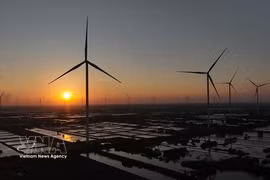 Un parc éolien dans la province de Cà Mau. Photo : VNA