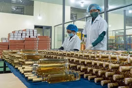 La société à responsabilité limitée Triêt Minh investit dans la modernisation de ses chaînes de production et l’application de technologies modernes. Photo : VNA