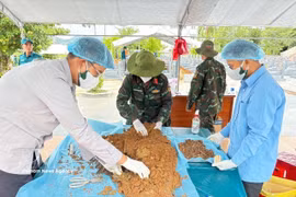 Des cadres et soldats participent à la recherche, à l’exhumation et à l’identification des restes des soldats morts pour la Patrie dans le cadre de la campagne. Photo : VNA