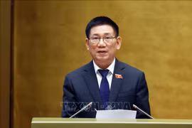 Le vice-Premier ministre Ho Duc Phoc. Photo : VNA