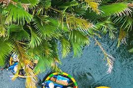 La forêt de cocotiers de Bay Mau, une oasis verte au cœur de Dà Nang. Photo : VNA