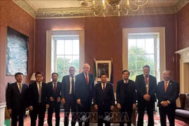 Nguyen Xuan Thang (quatrième à la droite) a pris une photo souvenir avec Colm O'Reardon, secrétaire général du ministère de l'Enseignement supérieur, de la Recherche, de l'Innovation et des Sciences d'Irlande (DFHERIS). Photo : VNA
