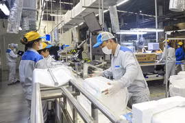 L’économie vietnamienne accélère malgré le “double impact” des défis