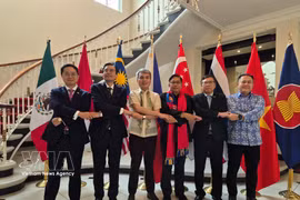 Les chefs des missions diplomatiques des pays membres de l'ASEAN au Mexique posent pour une photo de groupe. Photo : VNA