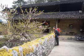 Des maisons traditionnelles en pisé des H'Mông dans le hameau de Lao Xa, commune de Sung La, district de Dông Van, province de Hà Giang. Photo : VNA