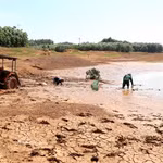 Le réservoir de An Hôi, situé dans la province de Quang Ngai, est à sec et cesse d’ alimenter les stations de pompage, livrant les rizières de la saison été-automne à une sécheresse implacable. Photo: VNA