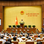 Par procuration du Premier ministre, la ministre de la Santé, Dào Hông Lan présente les propositions relatives à trois projets de loi. Photo : VNA
