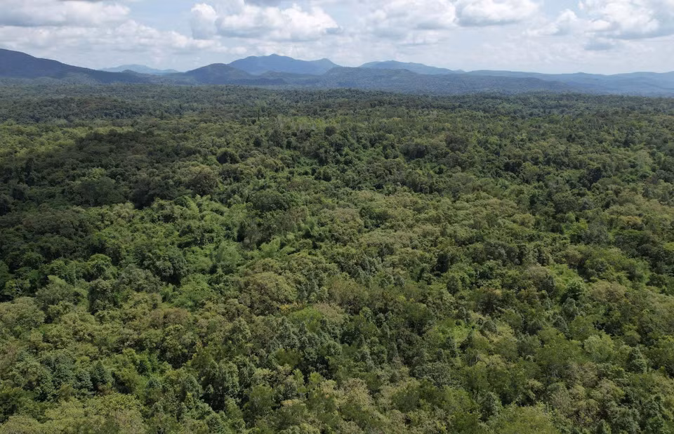 La Réserve naturelle d’Ea Sô couvre une superficie d’environ 26 850 hectares. Photo : CCD