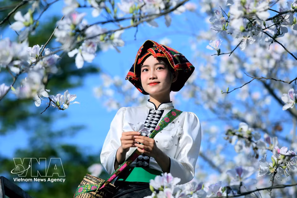 Des jeunes vêtus de costumes traditionnels de l'ethnie Thai se rassemblent pour contempler les fleurs et prendre des photos souvenirs. Photo : Quang Quyet – VNA.