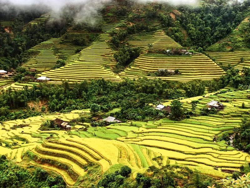 rizières en terrasse de Ha Giang.jpg