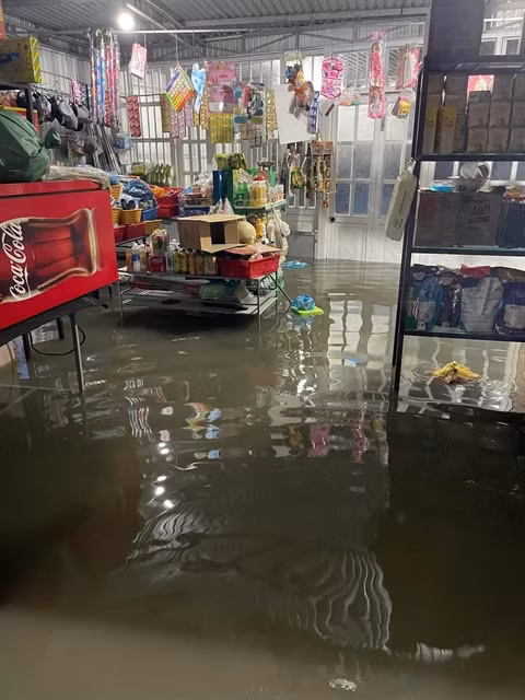 hue trami.jpg
