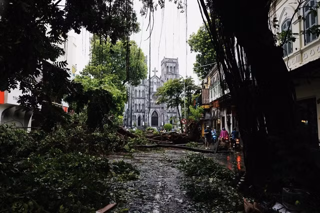 St. Joseph's Cathedral.jpg