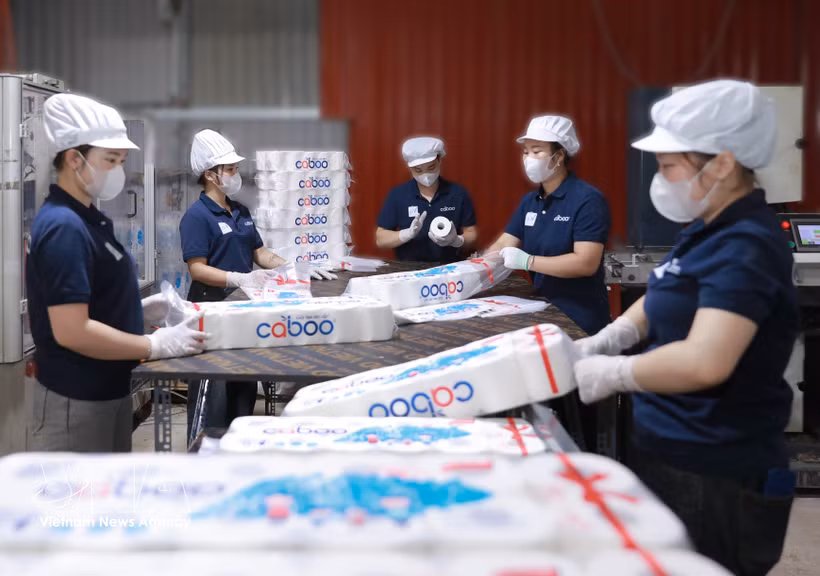 Les entreprises vietnamiennes doivent cibler précisément leurs segments de marché, leurs zones géographiques et leurs canaux de distribution. Photom VNA