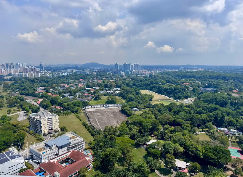 Un coin de verdure à Singapour. Photo : VNA