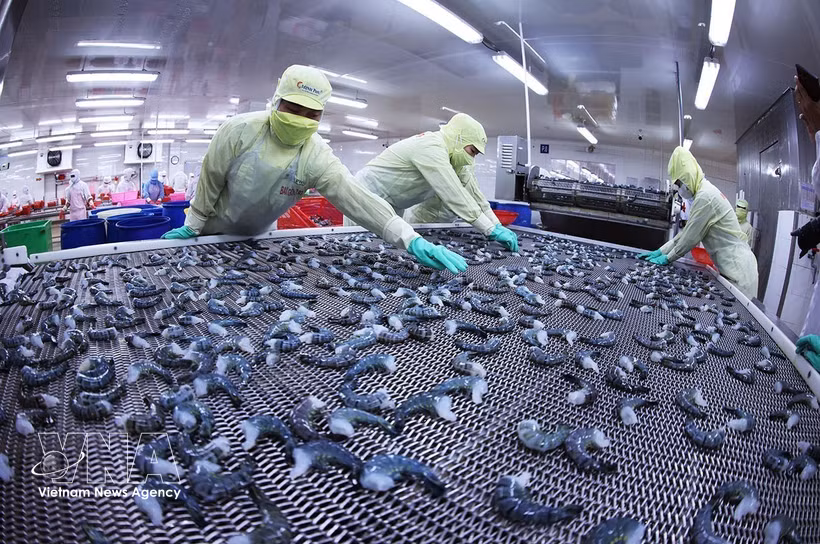 Les produits à base de crevettes sont surgelés selon la technologie IQF, garantissant ainsi le respect des normes d'exportation. Photo : VNA
