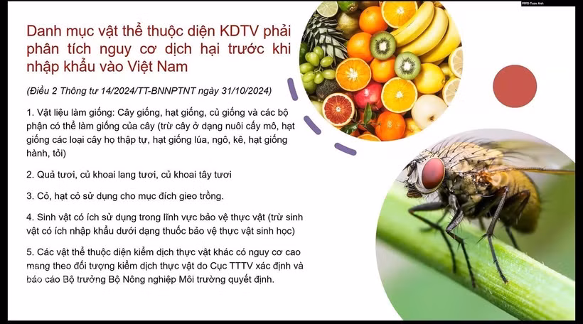 Le Vietnam établit une liste de produits soumis à la quarantaine phytosanitaire. Photo : VNA