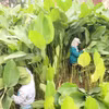 0